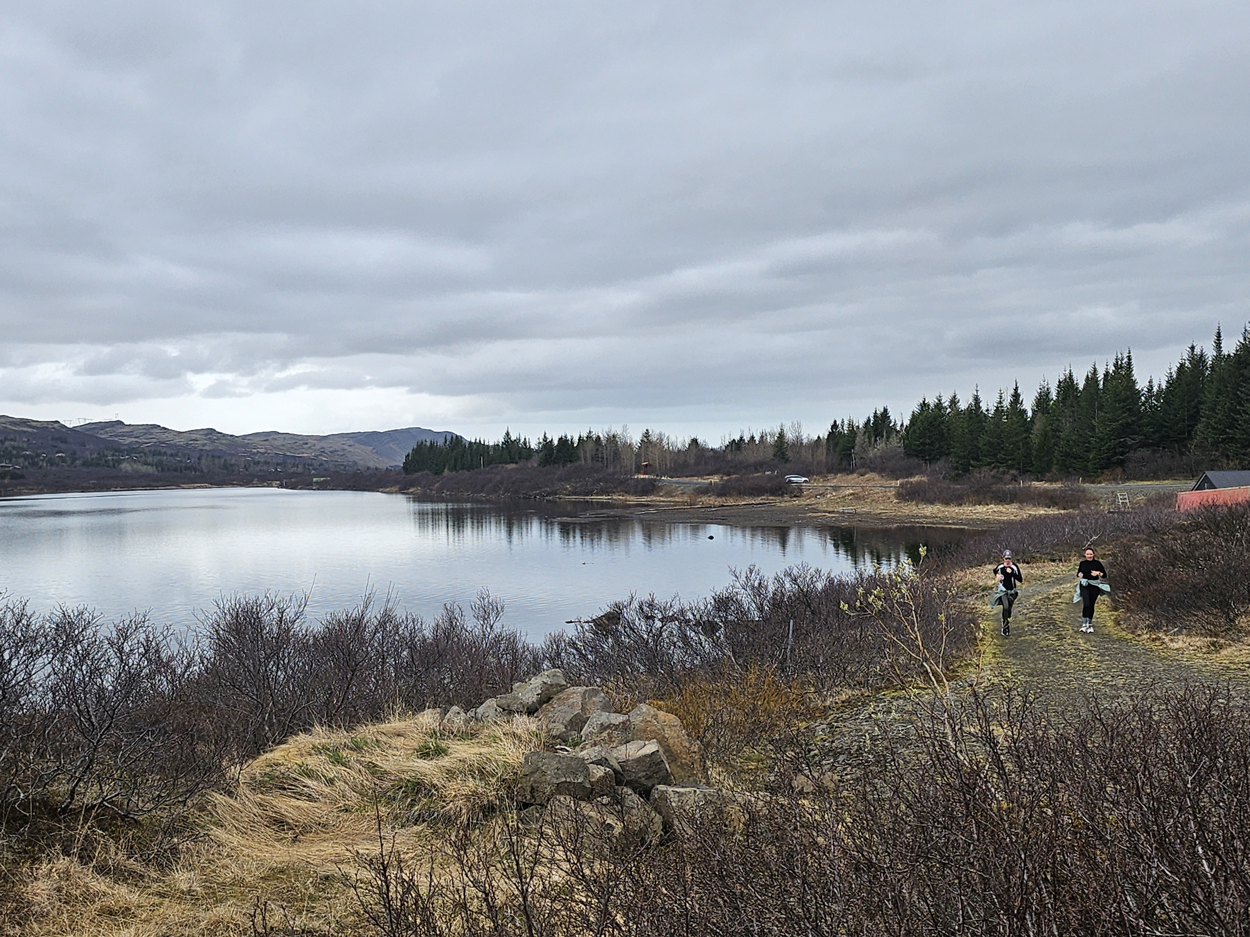 Photo for Puffin run (for when we go back)