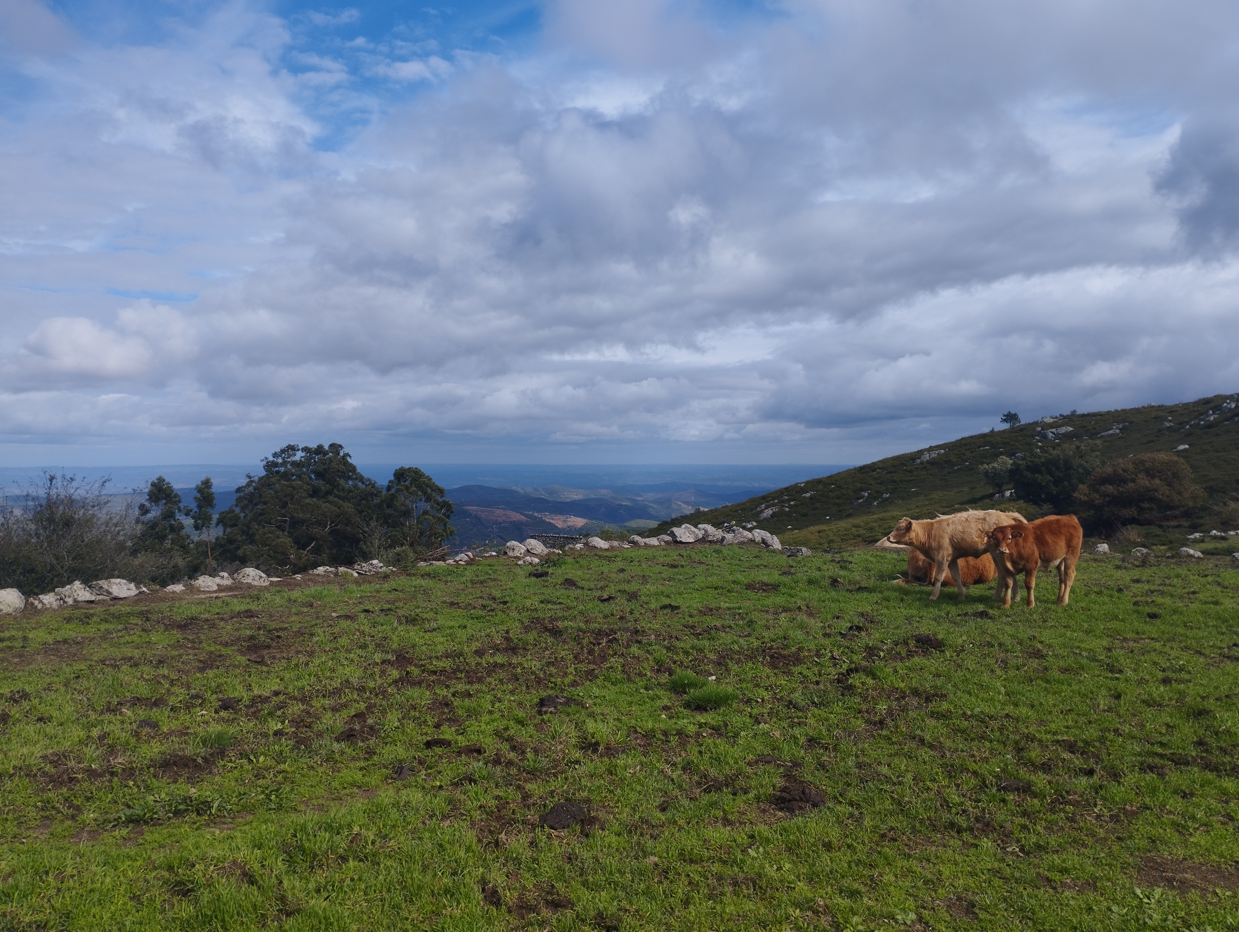 Photo for A Serra Algarvia é bonita