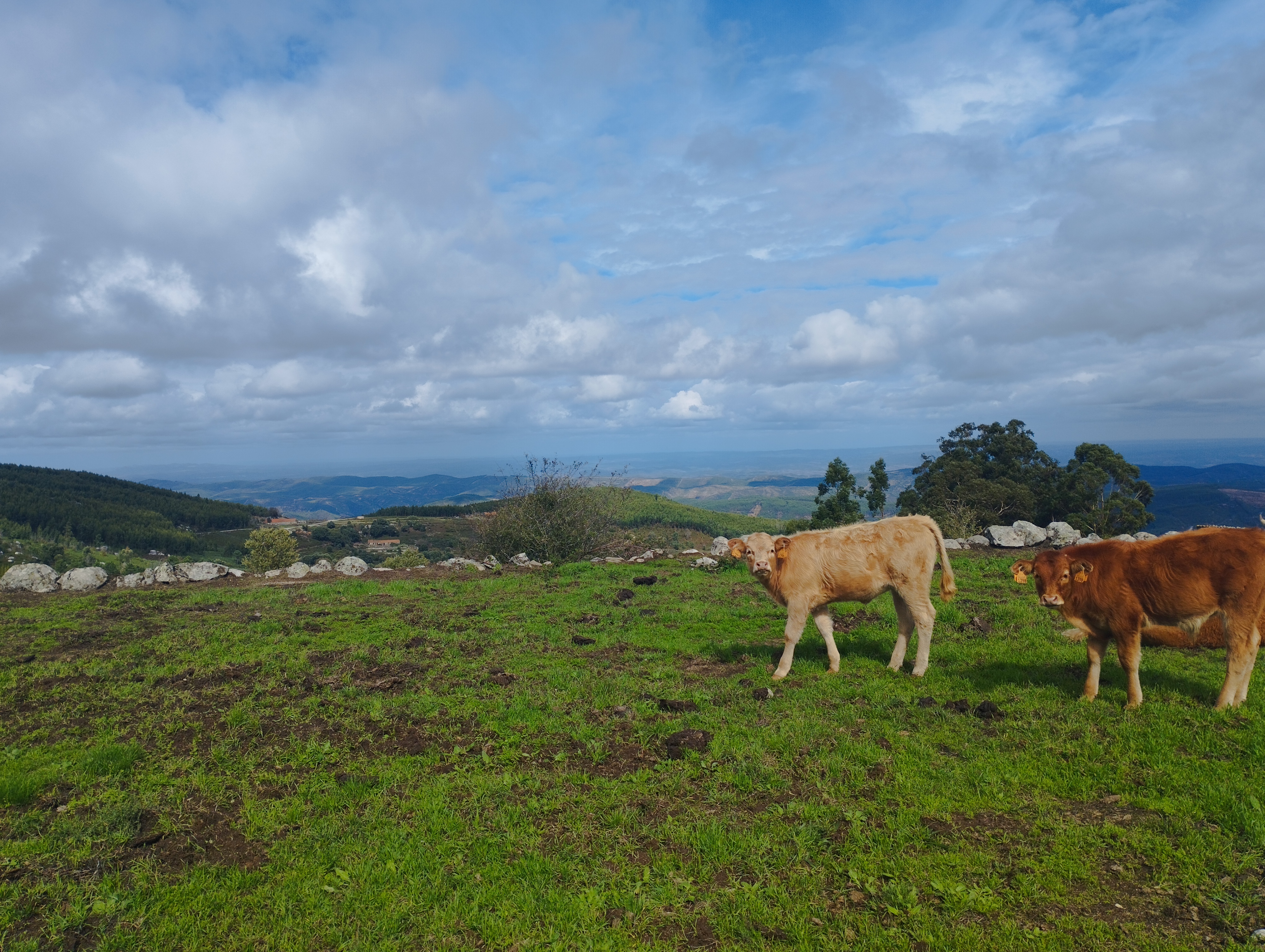 Photo for A Serra Algarvia é bonita