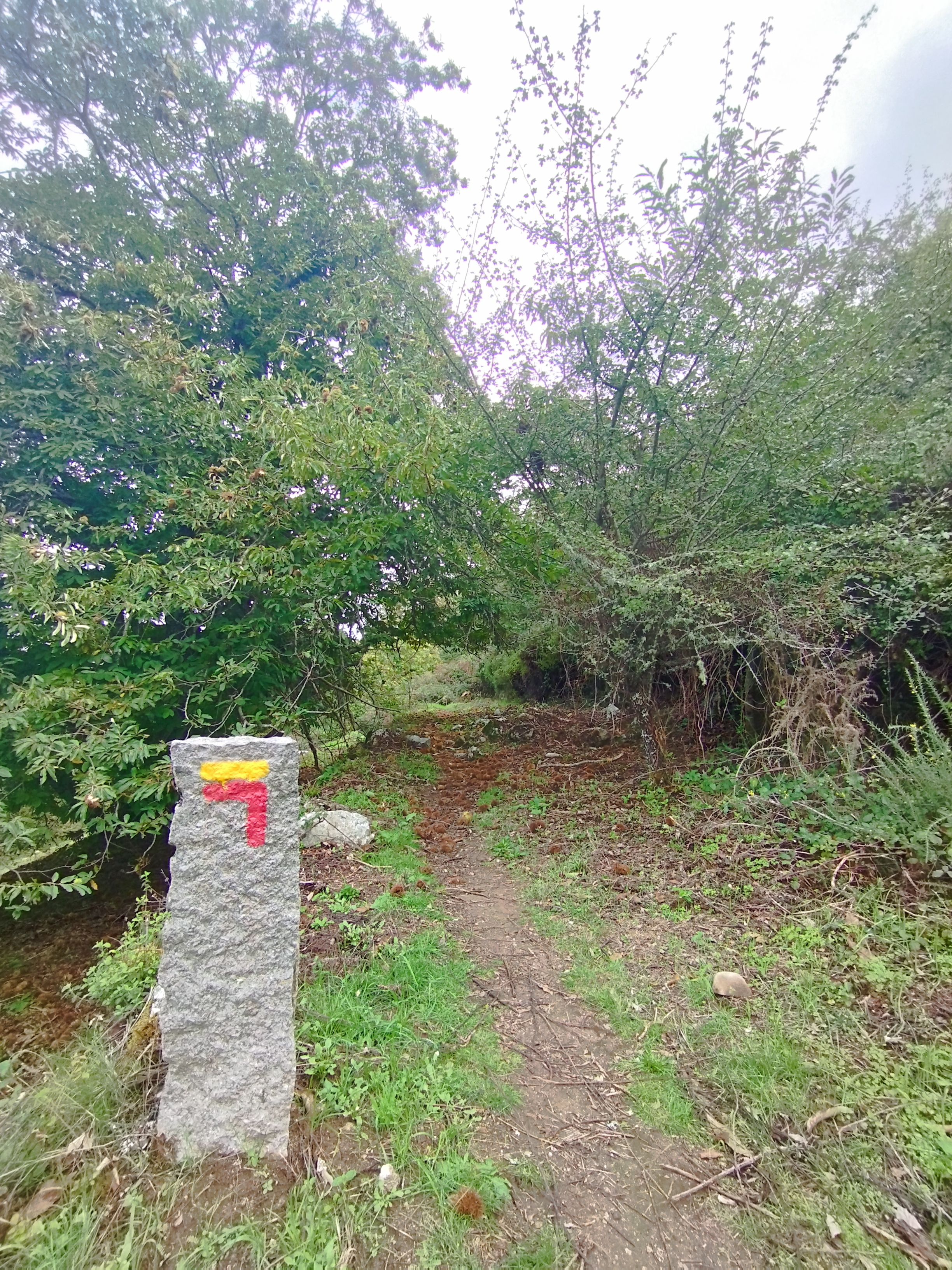 Photo for A Serra Algarvia é bonita