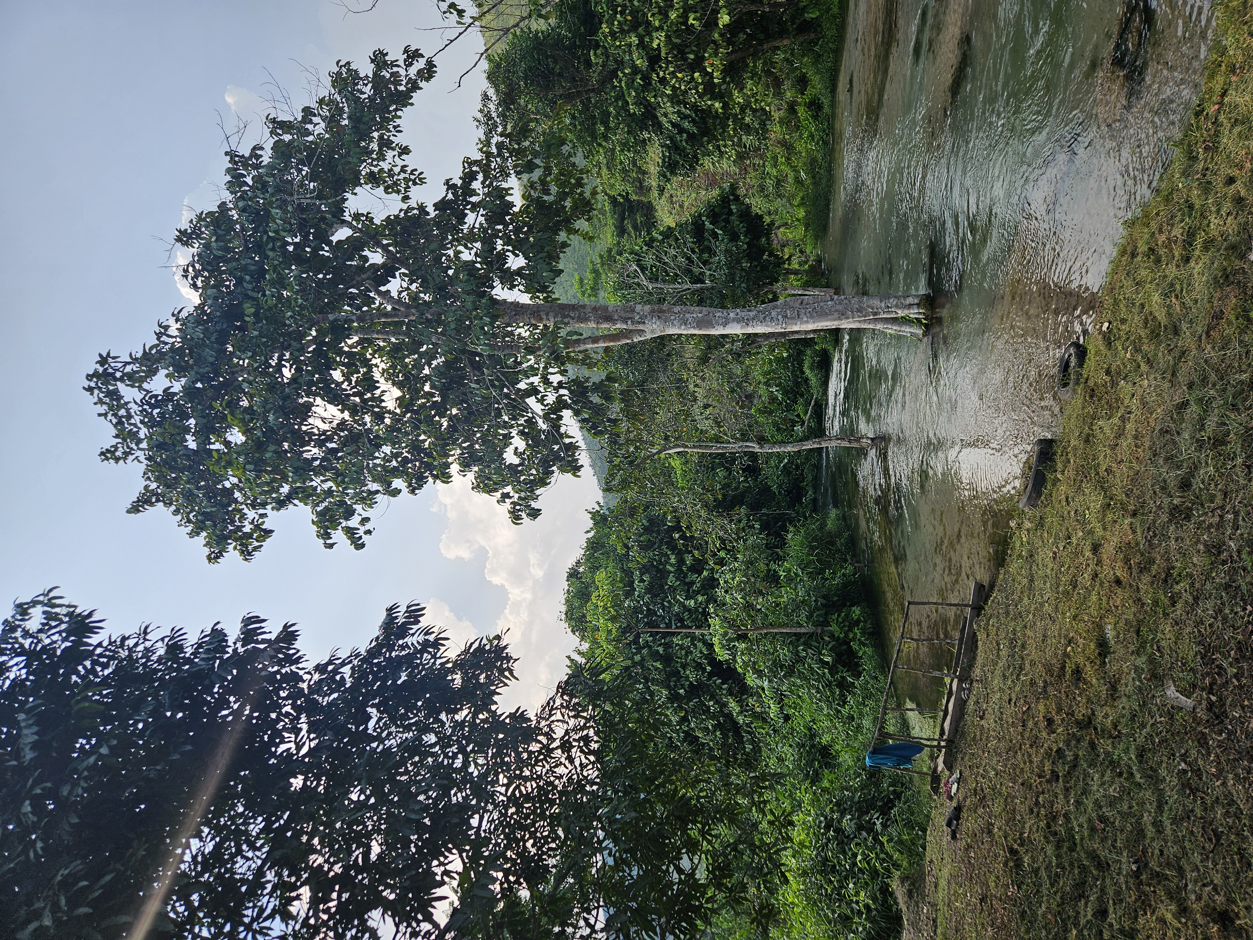 Photo for Congolese River Trail