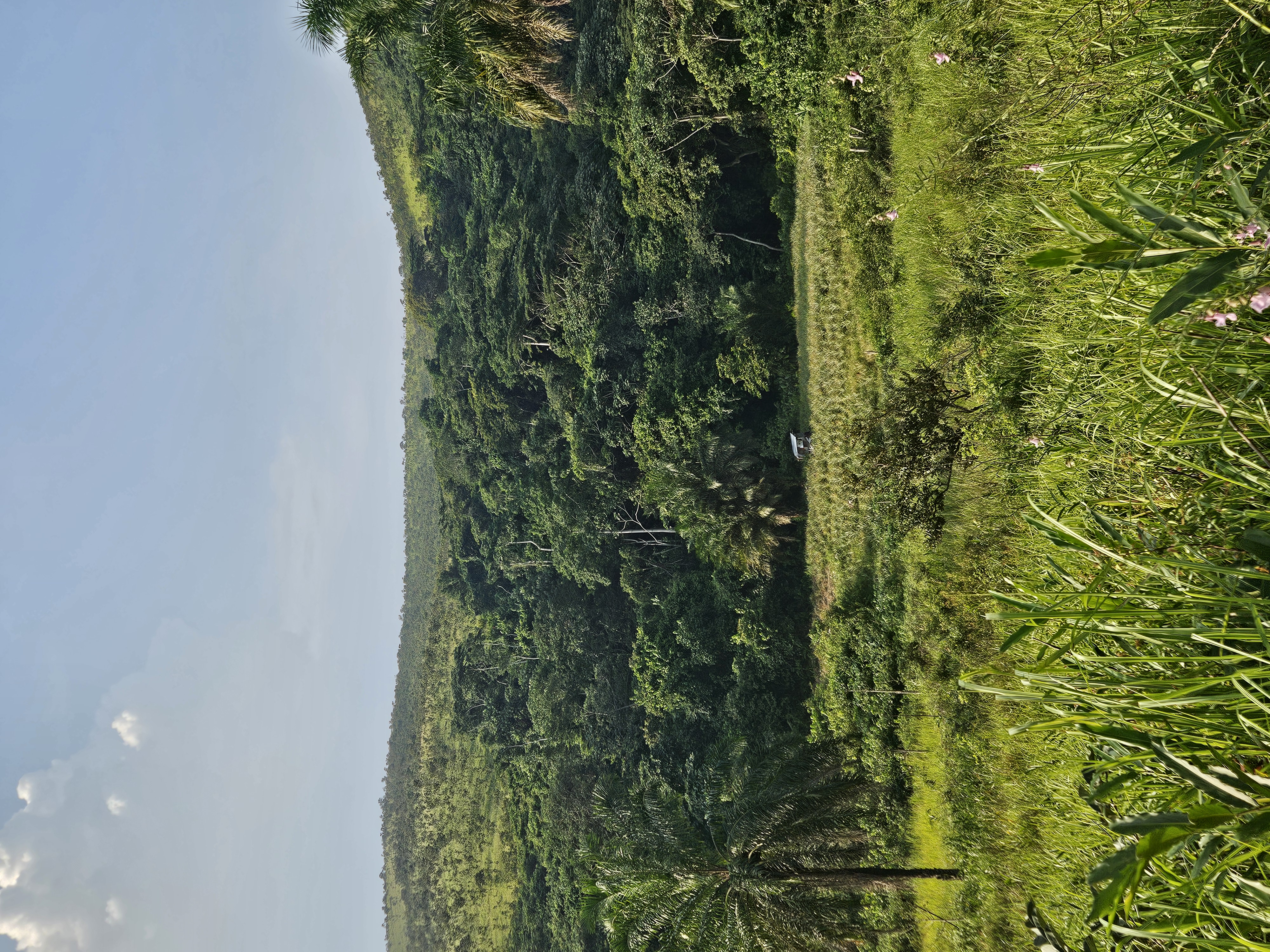 Photo for Congolese River Trail