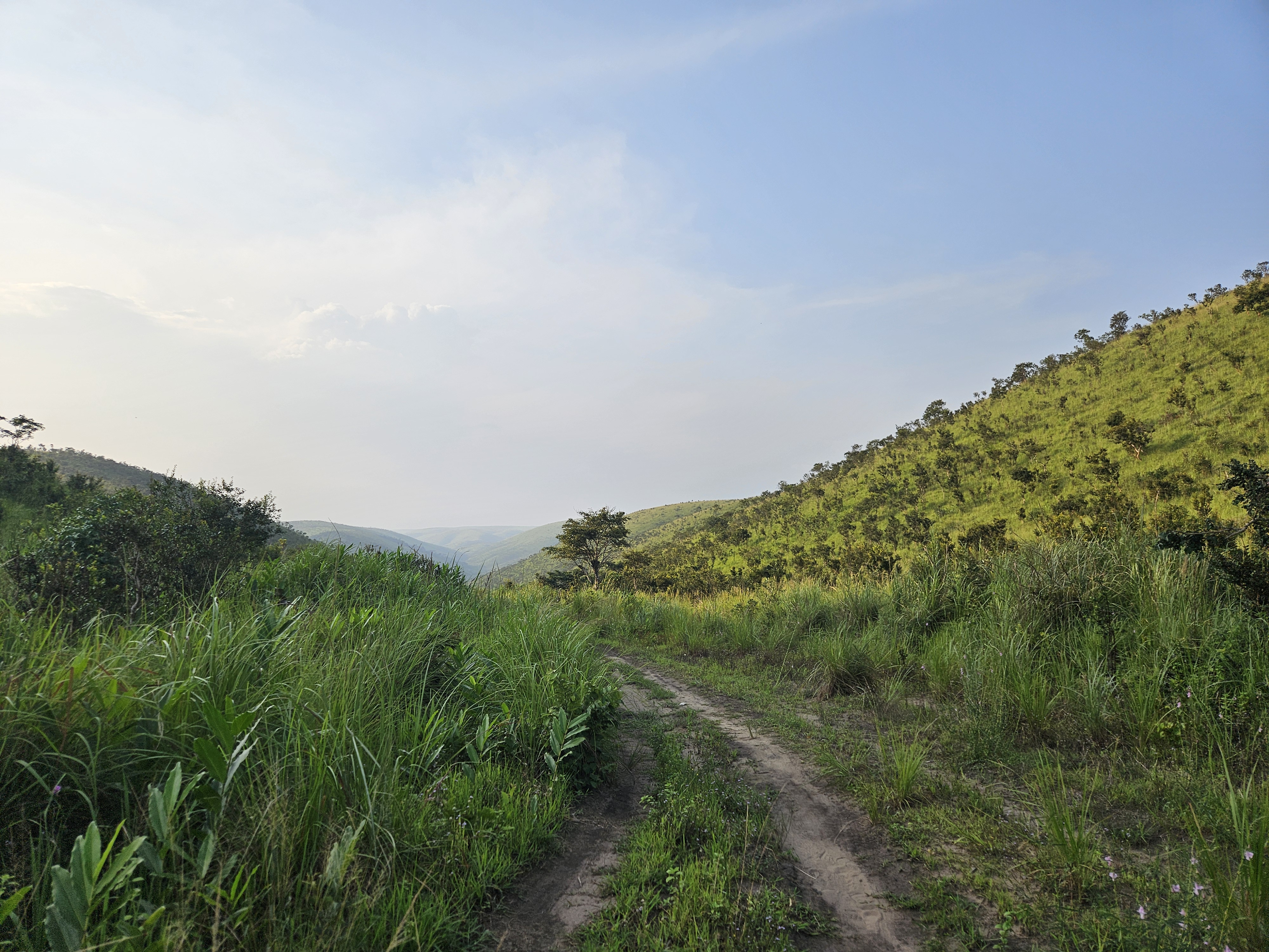Photo for Congolese River Trail
